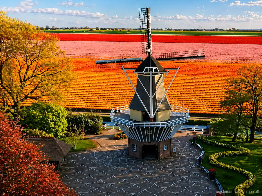 Windmill cruise through the Dutch polders on the way to Keukenhof