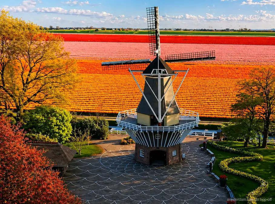Windmühlenfahrt durch die niederländischen Polder auf dem Weg nach Keukenhof