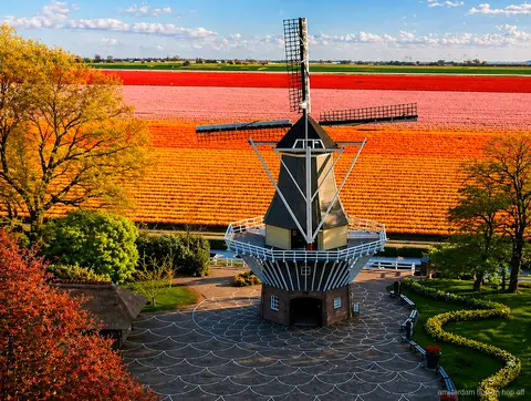 Crucero de molinos por los pólders holandeses de camino a Keukenhof