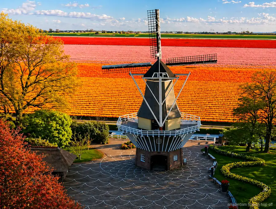 Crucero de molinos por los pólders holandeses de camino a Keukenhof